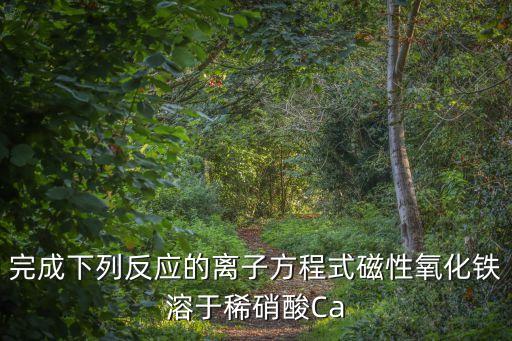 反應的，書寫下列反應的文字表達式并注明反應類型1木炭在空氣里的燃