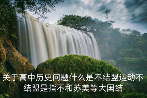 關于高中歷史問題什么是不結盟運動不結盟是指不和蘇美等大國結