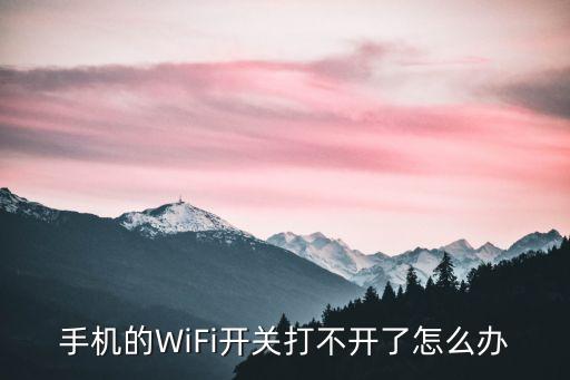 wifi打不開，手機wLan打不開是怎么回事啊