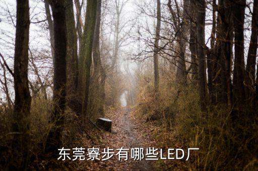 東莞寮步有哪些LED廠