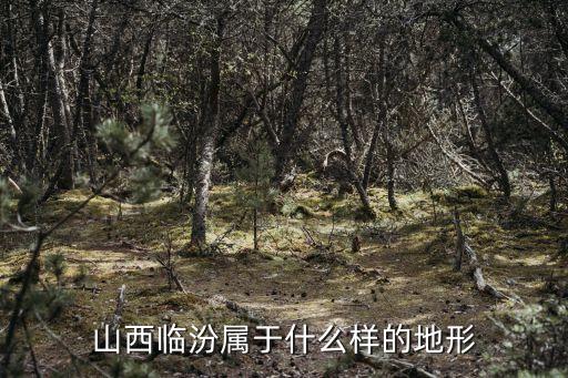 臨汾盆地，臨汾是盆地麼