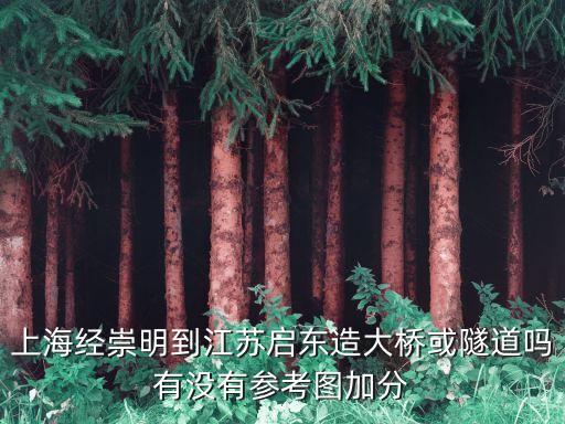 上海經(jīng)崇明到江蘇啟東造大橋或隧道嗎有沒(méi)有參考圖加分