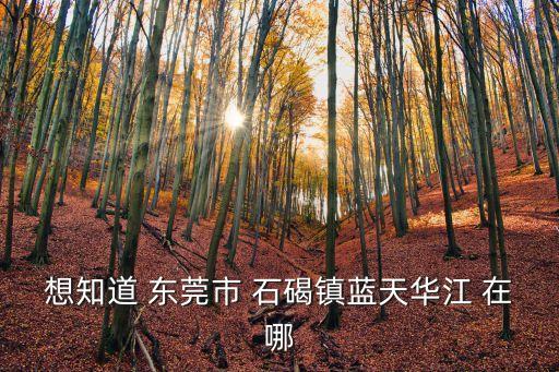 想知道 東莞市 石碣鎮(zhèn)藍(lán)天華江 在哪