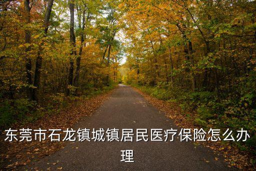 東莞市石龍鎮(zhèn)城鎮(zhèn)居民醫(yī)療保險(xiǎn)怎么辦理