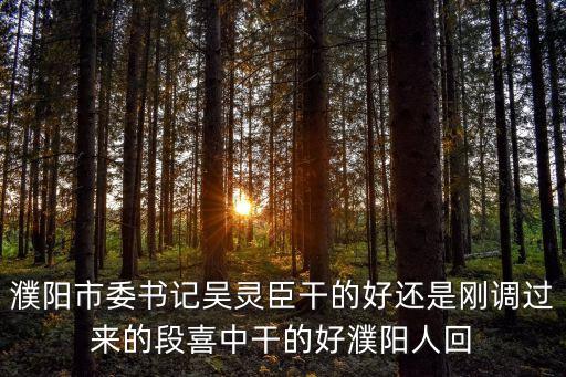 吳靈臣，濮陽吳靈臣調(diào)走了