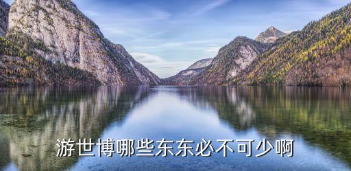 游世博，游世博哪些東東必不可少啊