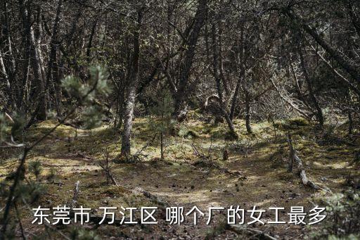 東莞市 萬江區(qū) 哪個(gè)廠的女工最多