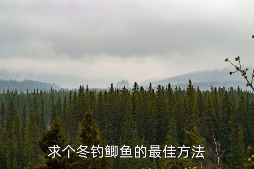 冬天野釣鯽魚技巧，求個冬釣鯽魚的最佳方法