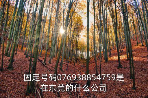 固定號碼076938854759是在東莞的什么公司