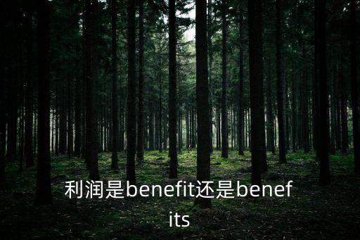 利潤(rùn)是benefit還是benefits