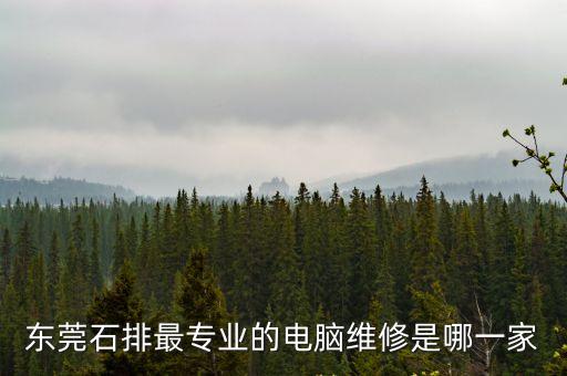 東莞石排最專業的電腦維修是哪一家