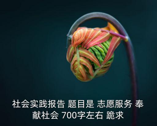 社會實踐報告題目，社會實踐調查報告的題目