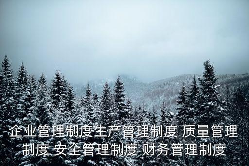 企業管理制度生產管理制度 質量管理制度 安全管理制度 財務管理制度