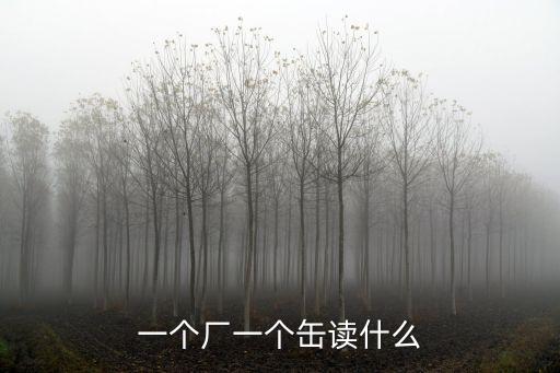 廠怎么讀，廠字頭是讀chng字頭還是n字頭