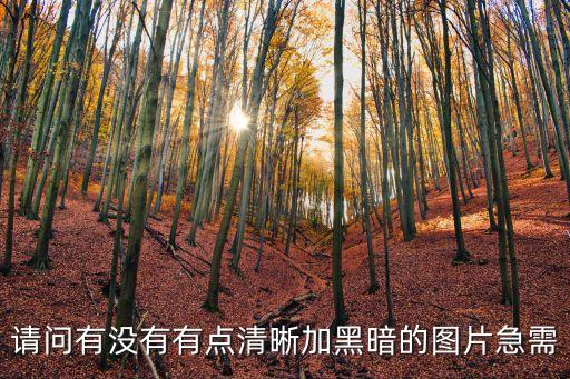 請問有沒有有點清晰加黑暗的圖片急需
