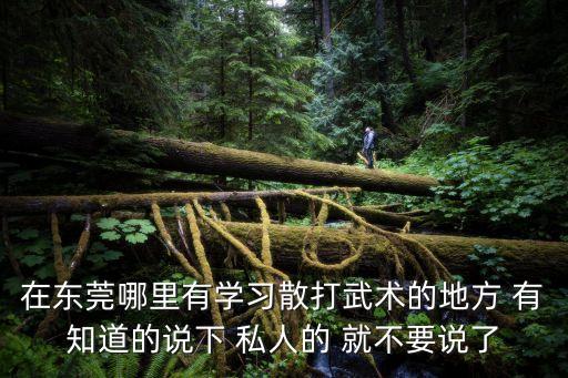 在東莞哪里有學(xué)習(xí)散打武術(shù)的地方 有知道的說下 私人的 就不要說了