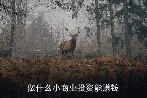 小投資賺錢，小投資什么項目賺錢