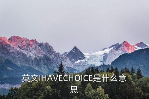 英文IHAVECHOICE是什么意思