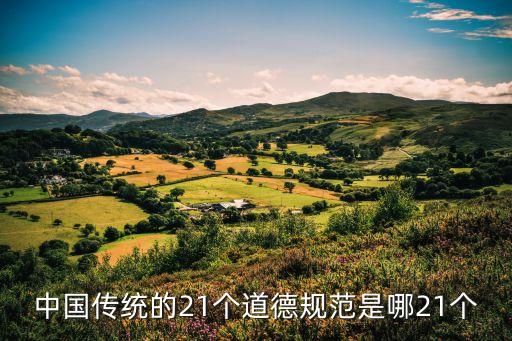 道德規范，道德規范是什么