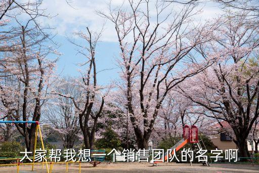 大家?guī)臀蚁胍粋€(gè)銷售團(tuán)隊(duì)的名字啊