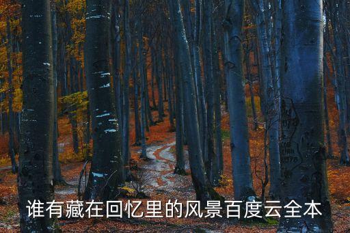 誰有藏在回憶里的風景百度云全本