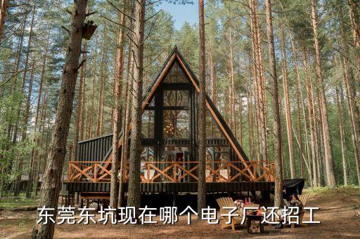 東莞東坑現在哪個電子廠還招工