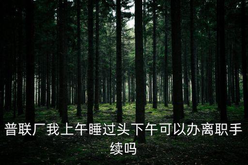 普聯廠我上午睡過頭下午可以辦離職手續嗎