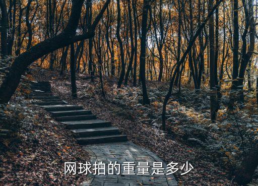 網(wǎng)球拍的重量是多少