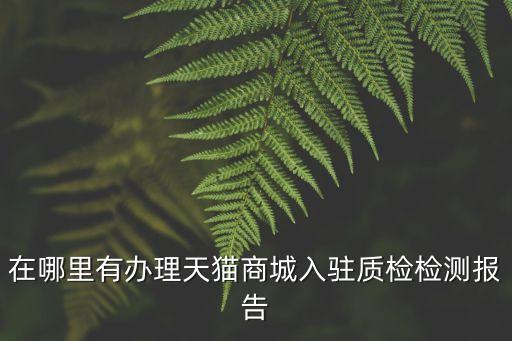 在哪里有辦理天貓商城入駐質(zhì)檢檢測報告