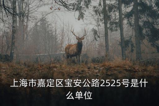 上海市嘉定區寶安公路2525號是什么單位