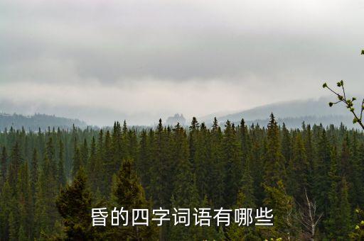 昏的四字詞語有哪些