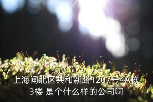 上海閘北區(qū)共和新路1207號4A棟3樓 是個什么樣的公司啊