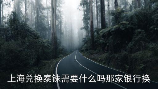 上海兌換泰銖需要什么嗎那家銀行換