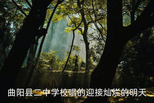 上海市曲陽二中教師演出，老師晚上好演出的地方是上海那所學校
