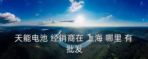 上海市天能電池代理，天能電池 經銷商在 上海 哪里 有 批發