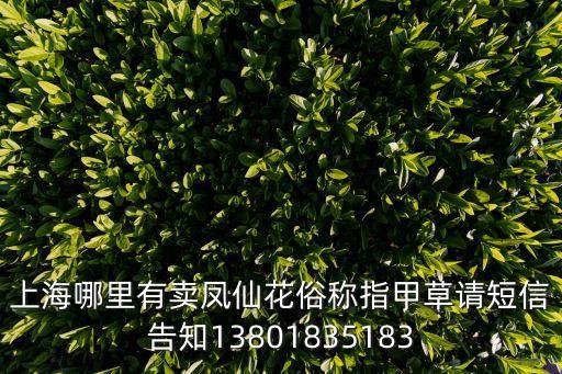 上海市曹家渡馬小龍，上海做無(wú)痛人流哪家醫(yī)院較好