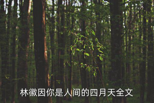 林徽因人間四月天，你是人間四月天林徽因