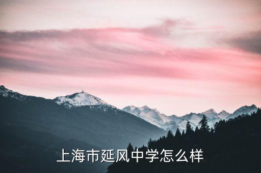 上海市延風中學怎么樣