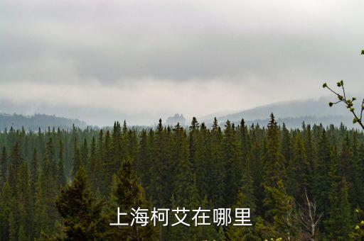 上海市連堯路，上海曹魏豐實業(yè)有限公司在什么路上