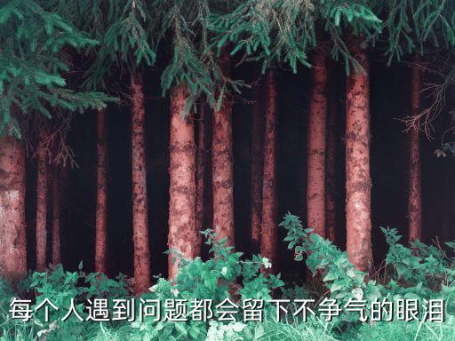 不爭氣的眼淚，不爭氣的眼淚