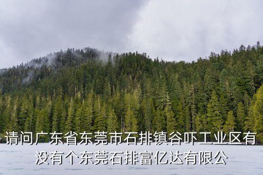 請問廣東省東莞市石排鎮谷嚇工業區有沒有個東莞石排富億達有限公