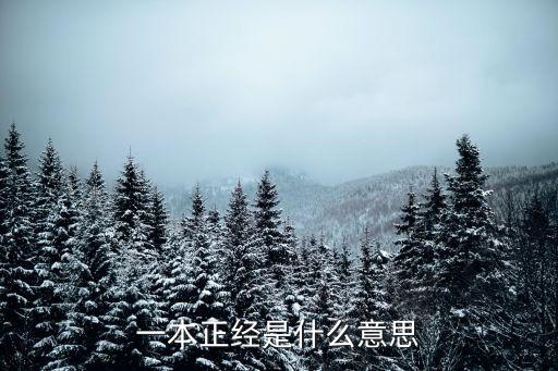 一本正經是什么意思