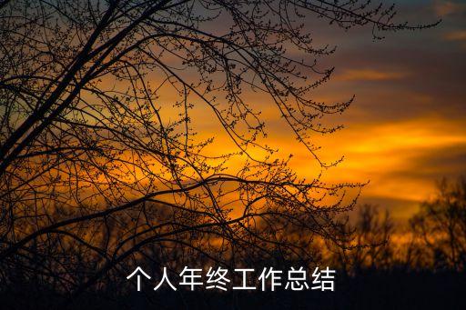 個人年終工作總結
