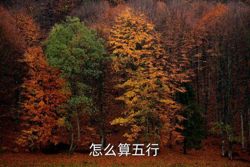 怎么算五行
