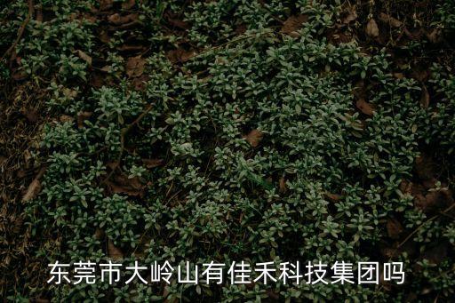 東莞市大嶺山有佳禾科技集團嗎