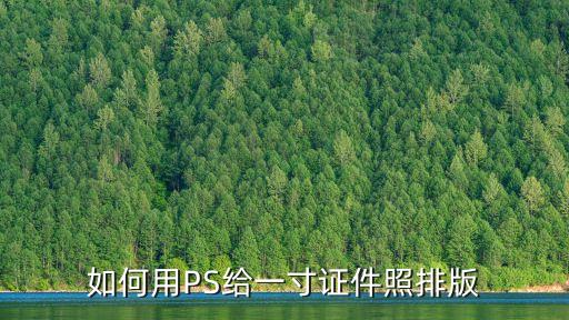 如何用PS給一寸證件照排版