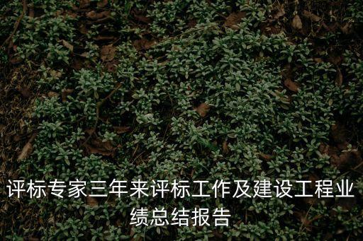 工程總結(jié)報(bào)告，評(píng)標(biāo)專家三年來(lái)評(píng)標(biāo)工作及建設(shè)工程業(yè)績(jī)總結(jié)報(bào)告