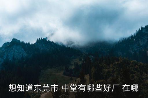 想知道東莞市 中堂有哪些好廠 在哪