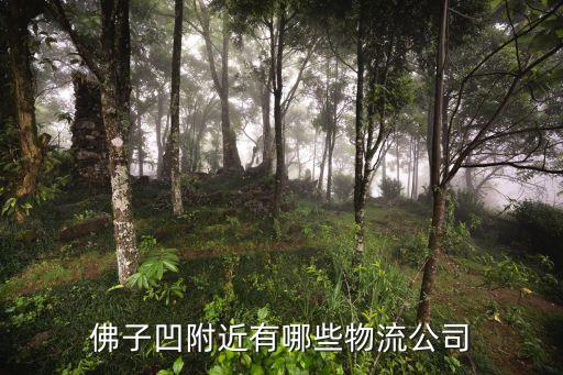 東莞南城高盛物流，東莞市穩(wěn)馳物流有限公司怎么樣