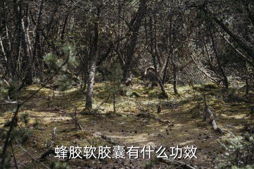 蜂膠軟膠囊有什么功效